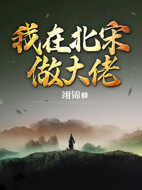 我在北宋做大佬