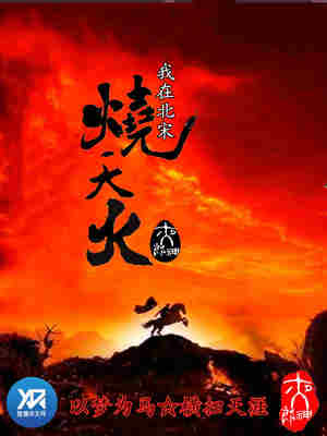 我在北宋烧天火