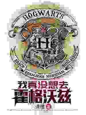 我真没想去霍格沃兹
