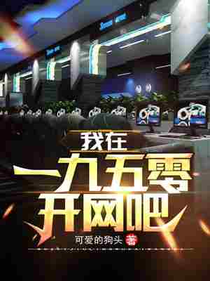 我在一九五零开网吧