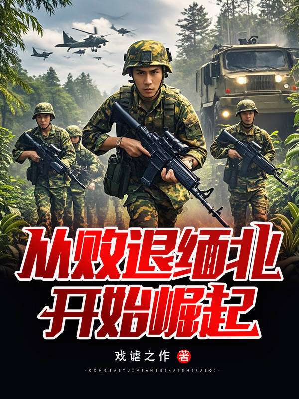从败退缅北开始崛起 封面