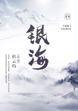 银海 封面
