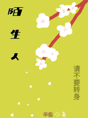 陌生人,请不要转身 封面