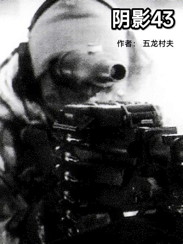 阴影43 封面