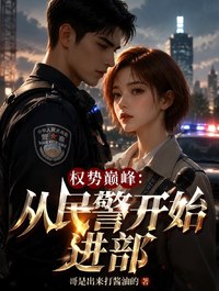 权势巅峰：从民警开始进部