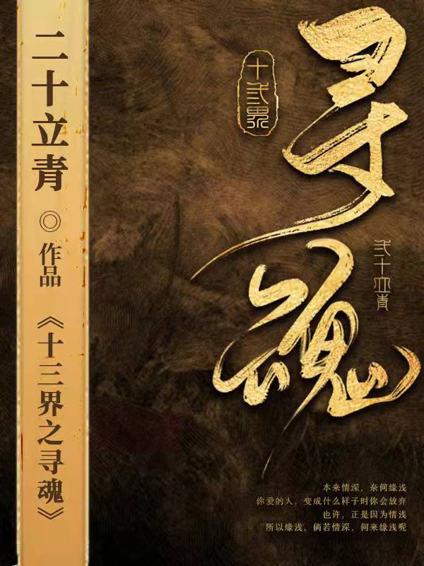 十三界之寻魂 封面