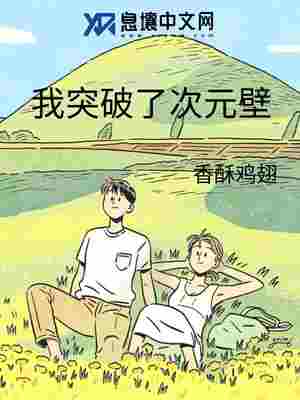 我突破了次元壁 封面