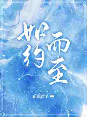 如约而至 封面
