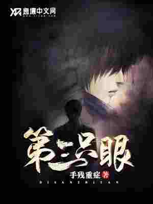 第三只眼 封面