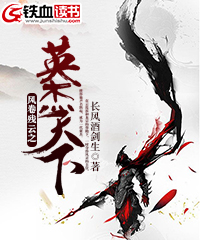 风卷残云之英杰天下 封面
