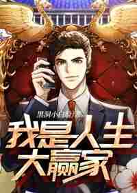 我是人生大赢家 封面