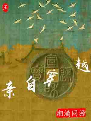 亲自穿越 封面