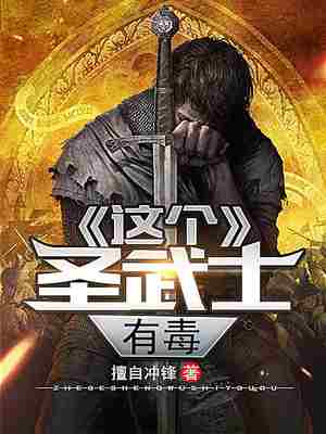 这个圣武士有毒 封面